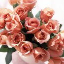 효림유치원 이미지