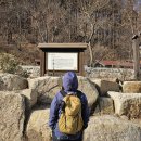 차발원지 Daum카페