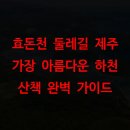 효돈천 | 효돈천 둘레길 제주 가장 아름다운 하천 산책 완벽 가이드