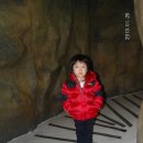 목마코너