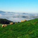 경원목장 이미지