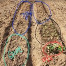 통큰아이유치원 이미지