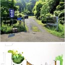 자연조경 이미지