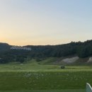 오크밸리 드라이빙레인지 이미지