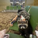 우 드림농장 | 꾱찐 발리여행 2탄🌴🍹✈️