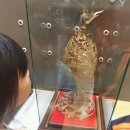 국립중앙박물관 어린이박물관 이미지