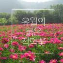 국제허브아카데미