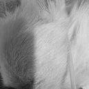 아랑동물병원 이미지