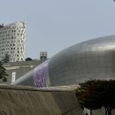컬리 뷰티 페스타 2025, 10월 30일 오후 후기, 브랜드, 꿀팁, 기프트