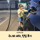 테슬라 모델 Y 주니퍼 기계식 세차 노터치 세차 세차모드 프리롤모드 가성비 틴팅 후기
