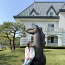 소노펠리체 빌리지 A~D 비발디파크 | 홍천 비발디파크 소노펠리체 빌리지 [그랜드 파크뷰 골드 스위트] 취사방 가족여행 후기