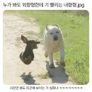피식