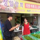 정일상회 이미지