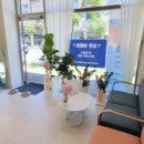 에스테틱도도 이미지