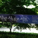 담빛시네콘서트 이미지