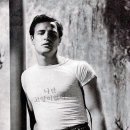 나만 없어 고양이 이미지