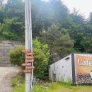 위드펫 빌리지 이미지