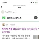 little tiny(리틀 타이니) 이미지