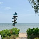 맛집&gt; Sea Talay Restaurant 씨탈레 레스토랑, 선셋뷰 해변 신상 레스토랑, 북파타야 바다뷰 식당 추천