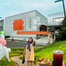 신양리 동쪽 방파제 입구 | 부산 빵지순례 필수코스 이흥용 칠암사계 이흥용 lab 금정사계 3곳 방문 후기와 추천메뉴