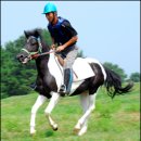 가라월라 이미지