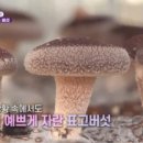 횡성상생장터