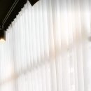 커피 플라워 이미지