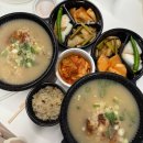 룩스피자 | 일상 블로그 8월 14일-18일☘️ 하찌의 중성화! 그리고 코로나 걸림 ㅜㅜ