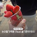 주머니열개 | 딸기보다 사람이 더 많은 2026 논산딸기축제 딸기한우비빔국수 후기