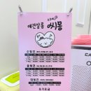 애견살롱 씨몽 이미지