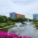 [KAIST 탐방] 스무디킹 대전카이스트점 후기