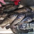 해송낚시