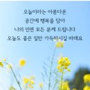 정도렌탈