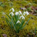 연수여자고등학교 이미지