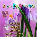 좋은사람들 Daum카페