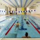 청송군체육관 이미지