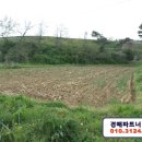 광천읍 운용마을회관 이미지