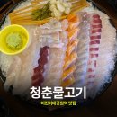 청춘물고기 이미지