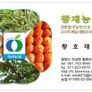 황재농장 Daum카페