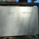 옥녀봉주유소 이미지