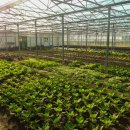 충실농장 이미지