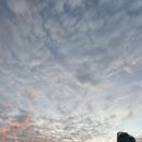 (유)제일투어 이미지