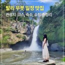 발리 우붓 일정 맛집 관광지 숙소 기념품쇼핑 총정리