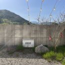 (주)디지오디오 | 속초카페 추천 자연뷰 끝판왕 속초설악산뷰카페 오디오씨 후기