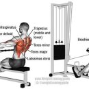 페르소나 피티샵 이미지