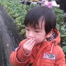 재영농장 이미지