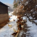 청정농장2 이미지