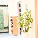 지에스25 신호기적점 | 양재 부부상담클리닉 후기, 벼랑 끝이던 25년차가 다시 말문을 트였습니다