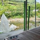화해마을회관 | 산청 내대계곡 거림계곡 주말 평상 주차 삼겹살 취사 후기