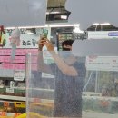 대연중앙시장 | 강릉 저렴한 중앙시장 회센터&#39;대연횟집&#39;